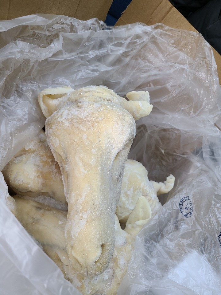 J.  양머리(Lamb head  )1.8~2.7Kg